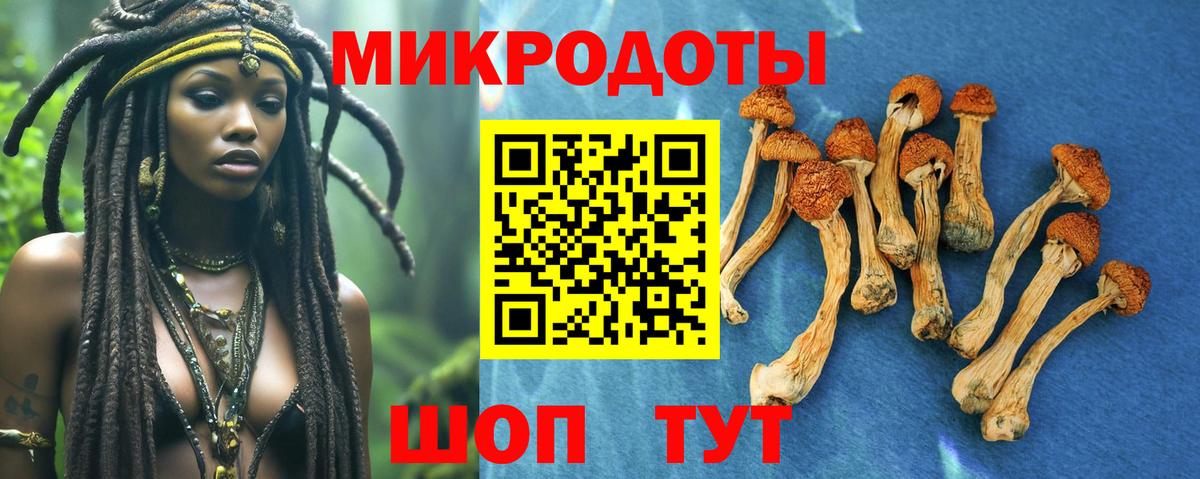 Псилоцибиновые грибы GOLDEN TEACHER  Вход с VPN  Губкин 